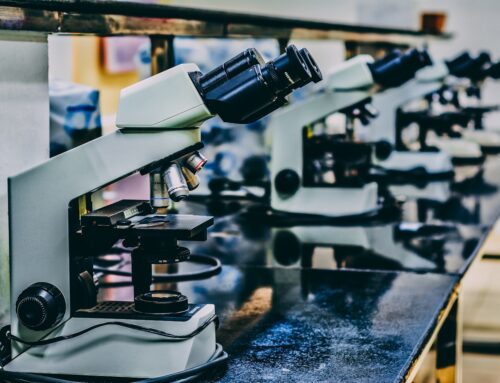 Empowering Researchers: Resources Available on Protonresearch.io